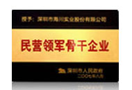 民營領(lǐng)軍骨干企業(yè)