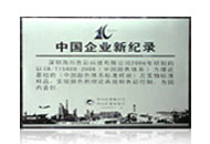 中國企業(yè)新記錄