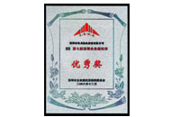 "深圳企業(yè)新紀錄"優(yōu)秀家獎