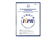 自主知識(shí)產(chǎn)權(quán)證書(shū)