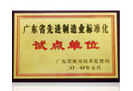 廣東省先進制造業(yè)標準化試點