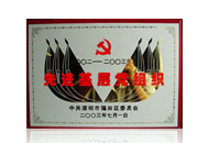 先進(jìn)基層黨組織