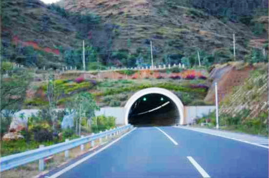 EC-110瀝青混凝土溫拌添加劑